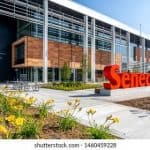 SENECA