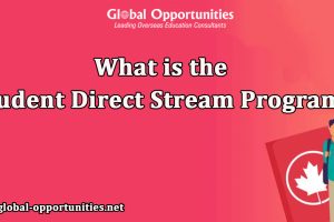 What-is-the-Student-Direct-Stream-Program