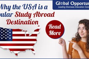 Why-the-USA-is-a-Popular-Study-Abroad-Destination