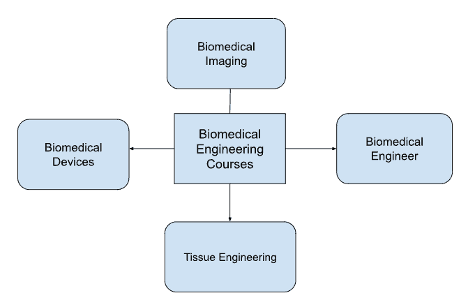 MS in biomedical engineering in usa courses