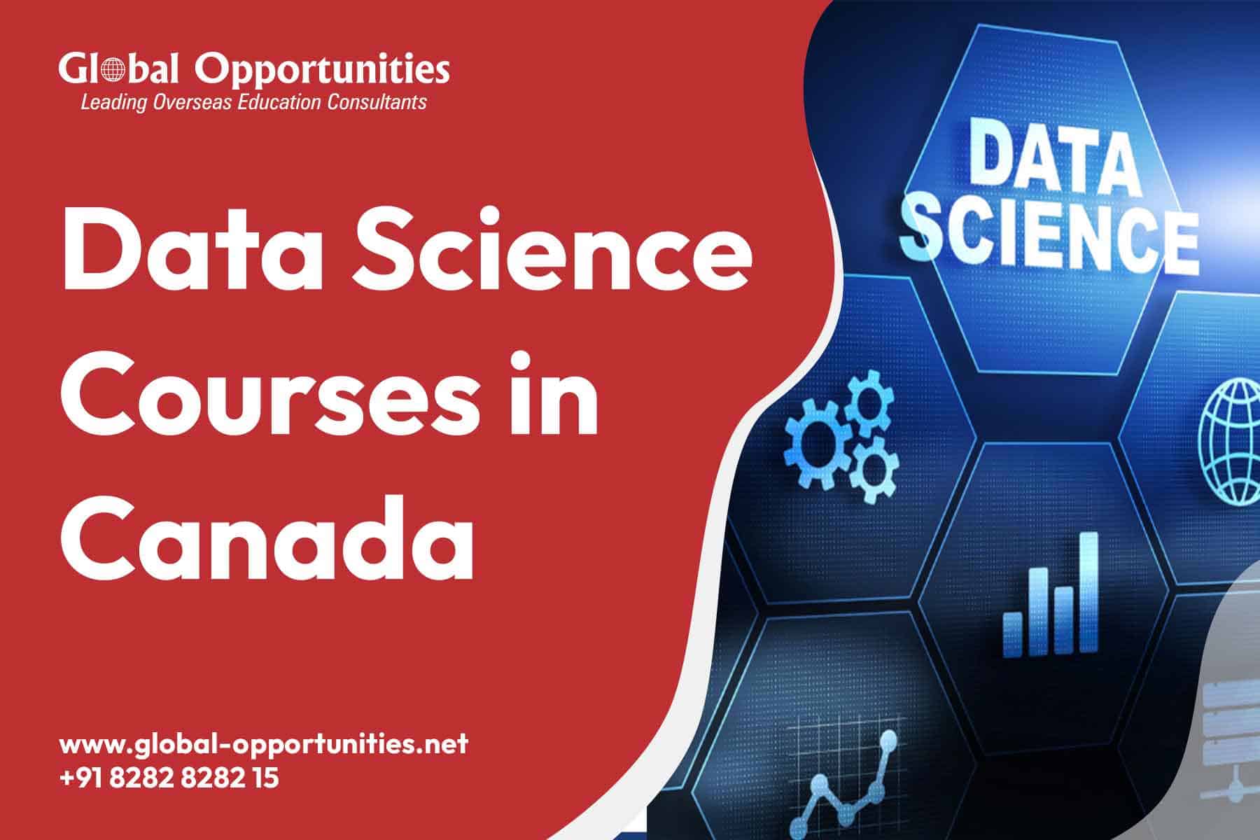 Data Science Courses in Canada for International Students