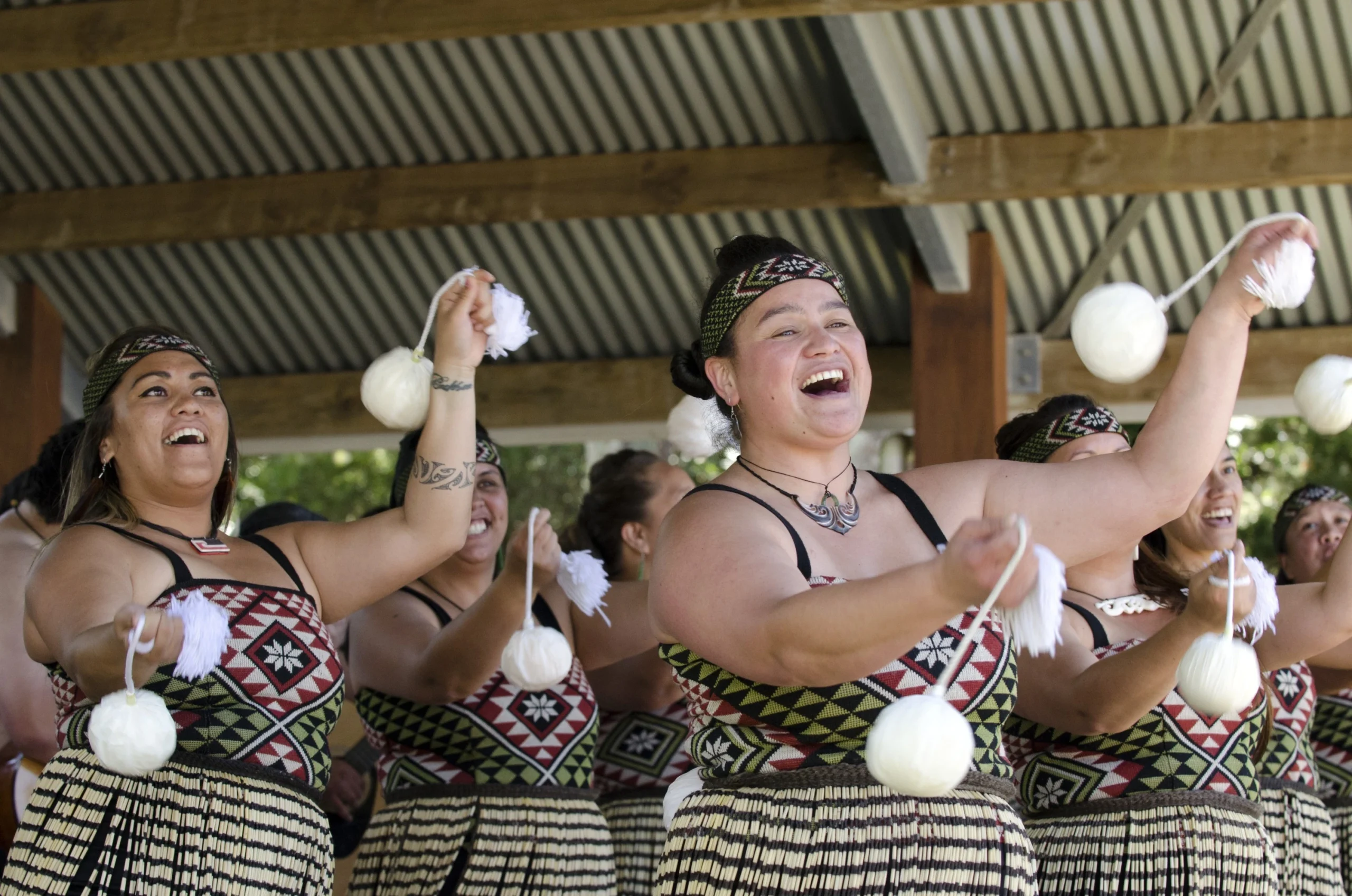 Haka : Study NZ