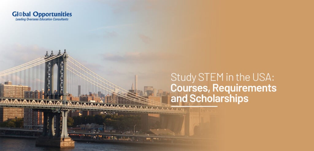 Study STEM in the USA: Courses, Requirements, and Scholarships