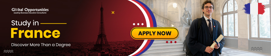 Study in France banner